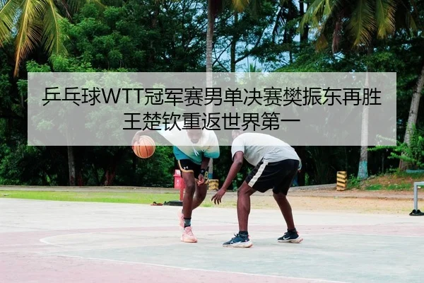 乒乓球WTT冠军赛男单决赛樊振东再胜王楚钦重返世界第一